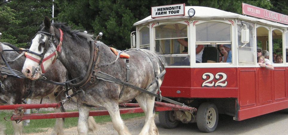 Horses pulling a carriage