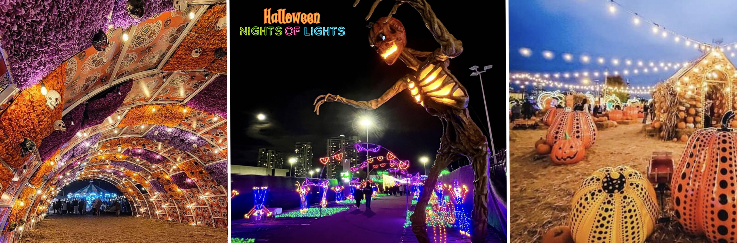 Halloween Nights of Lights