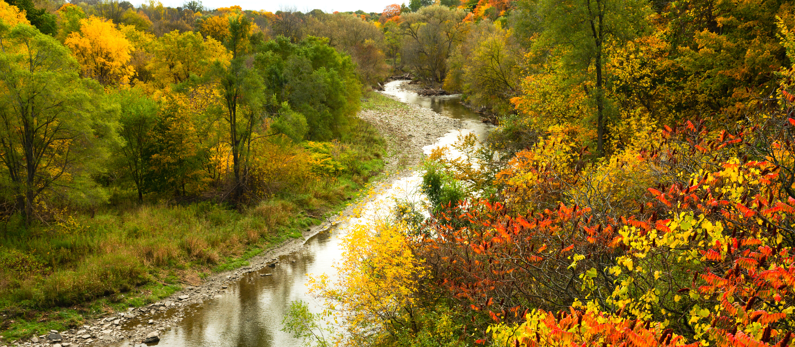 Mimico Creek Trail Fall Colours