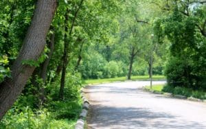 Path through King's Mill Park