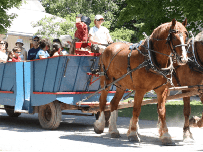 Places to visit in Etobicoke.