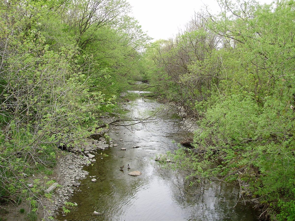 Norseman Heights Mimico Creek