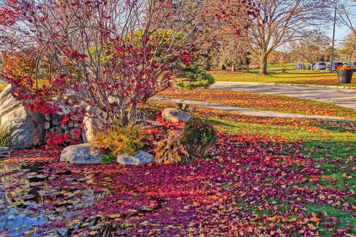 Centennial Park Etobicoke