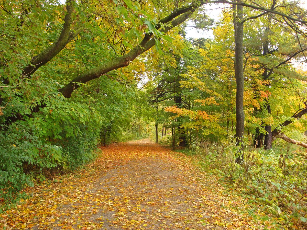 Centennial Park Etobicoke