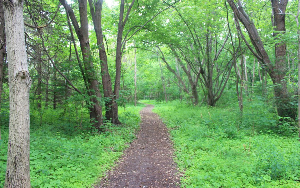 West Deane Park Etobicoke