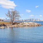 New Toronto Cooperative